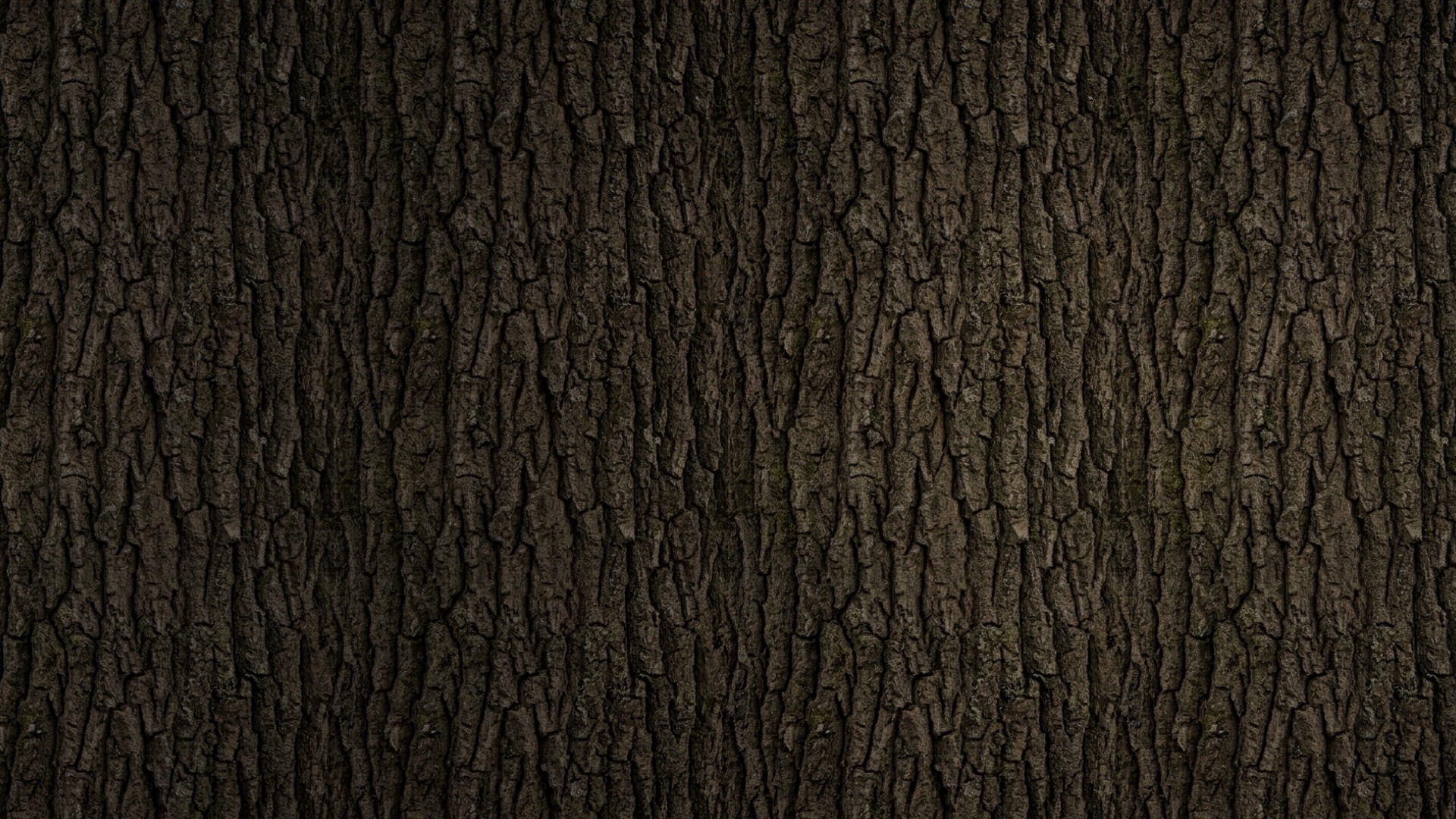 Image Sequence_049_0001