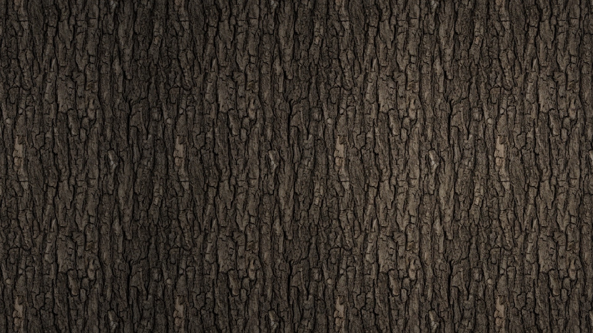 Image Sequence_050_0001