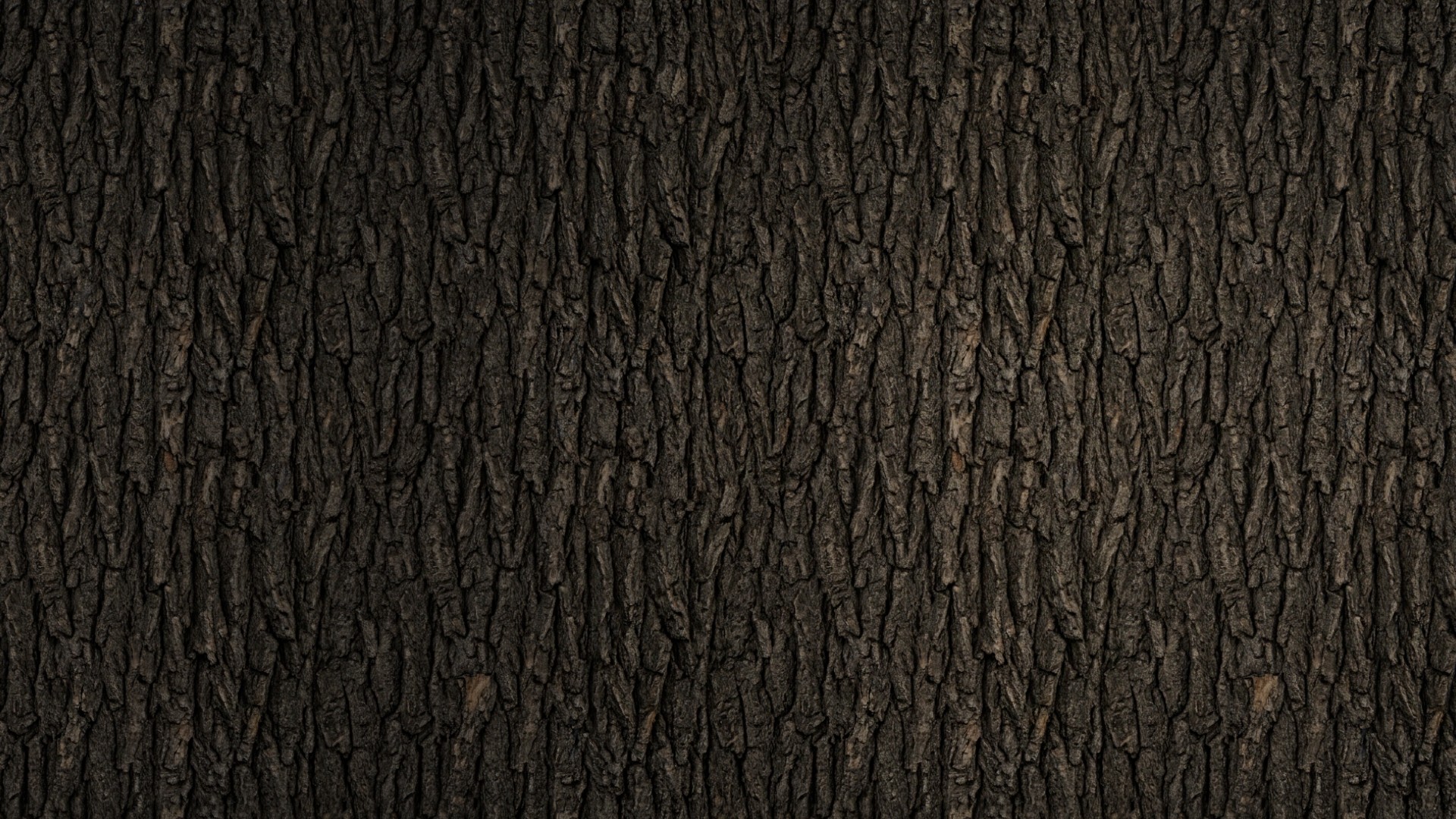Image Sequence_058_0001