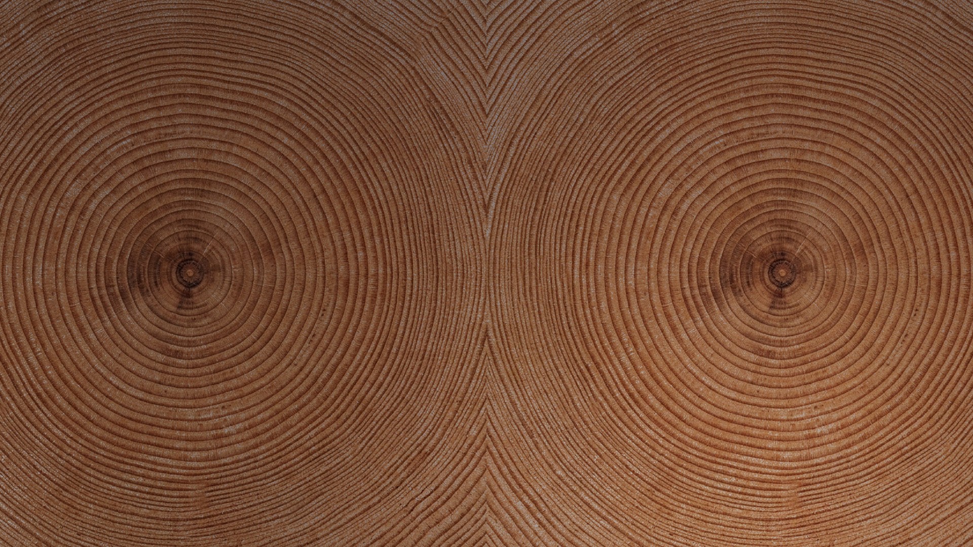 Image Sequence_066_0001