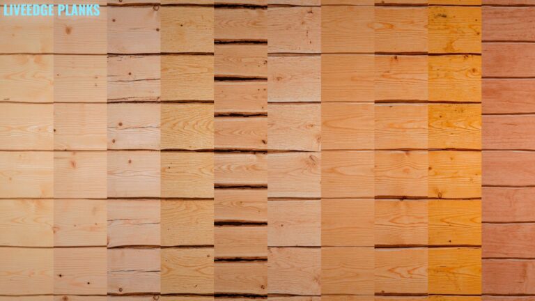 LiveEdge