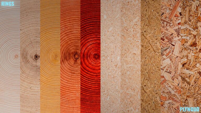 Plywood_Rings
